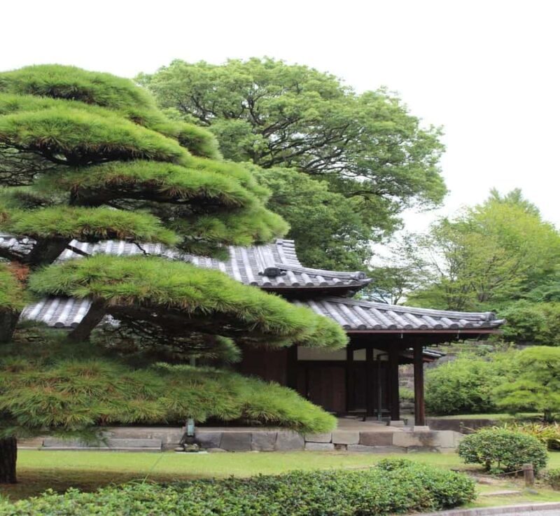 From Nagano: Private Guided Tour to Tokyo with Hotel Pickup - Key Points