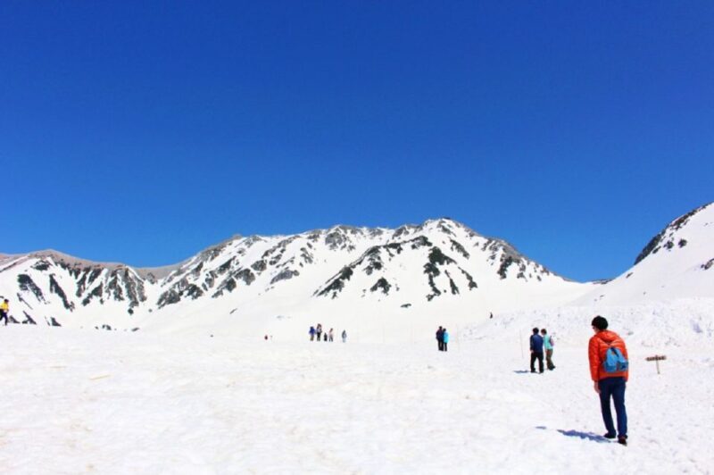From Nagano: Tateyama-Kurobe Alpine Route - The Experience and Value