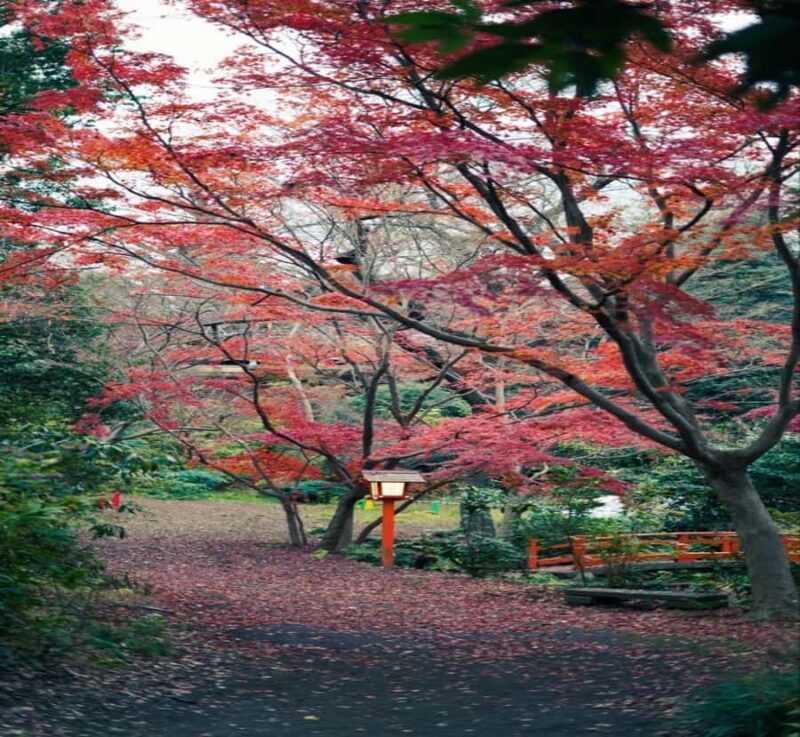 From Nagano: Tokyo Private Tour with Hotel Pickup - Exploring the Detailed Itinerary