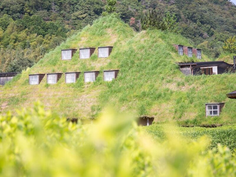 From Nagoya: Castles and Canals in Hikone and Omi Hachiman - Authentic Experiences and Hidden Gems