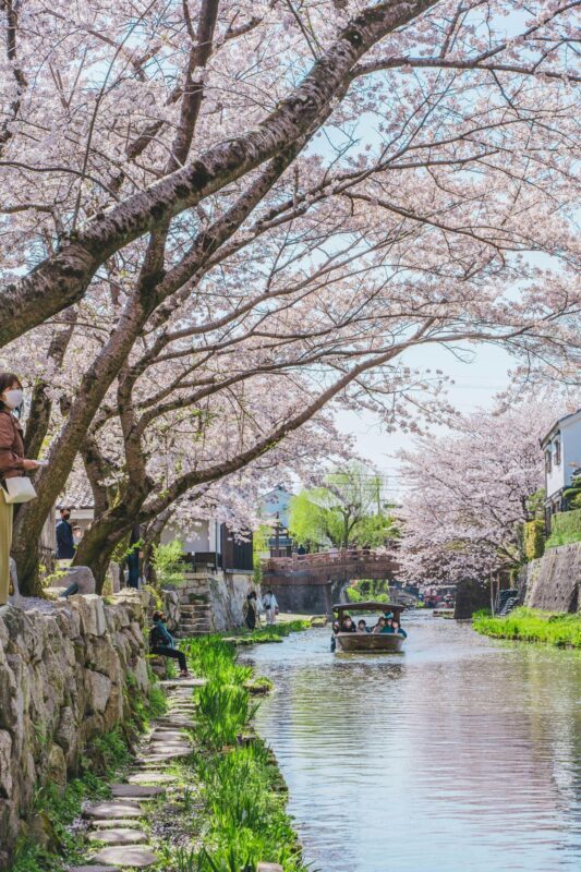 From Nagoya: Castles and Canals in Hikone and Omi Hachiman - Who Should Consider This Tour?