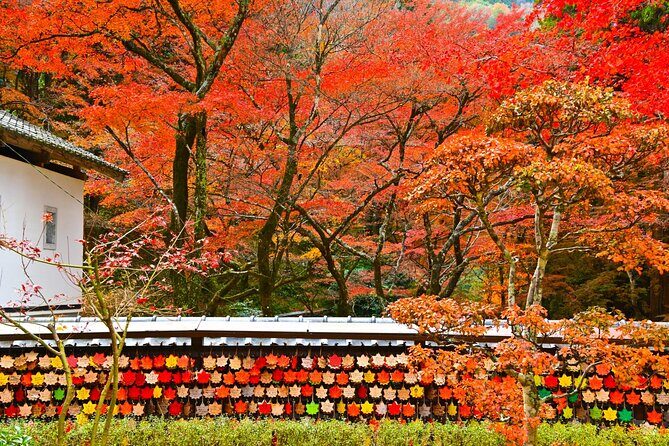 From Nagoya: Discover Aichi Korankei, Miso, & Inari Shrine - Frequently Asked Questions (FAQs)