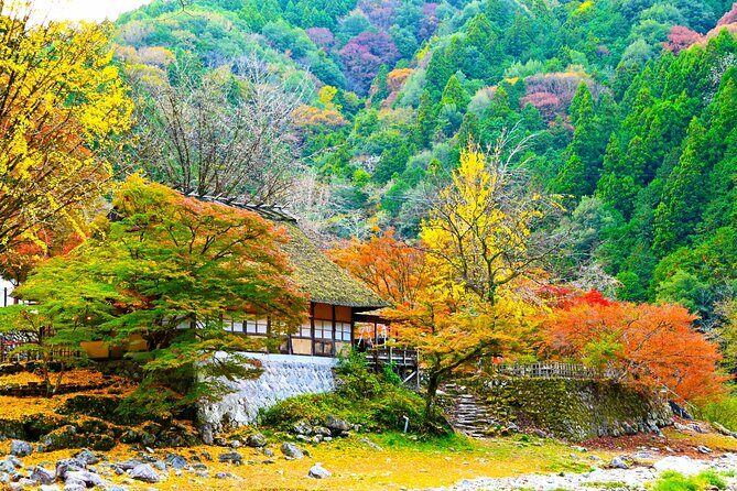 From Nagoya: Discover Aichi Korankei, Miso, & Inari Shrine - Final Thoughts