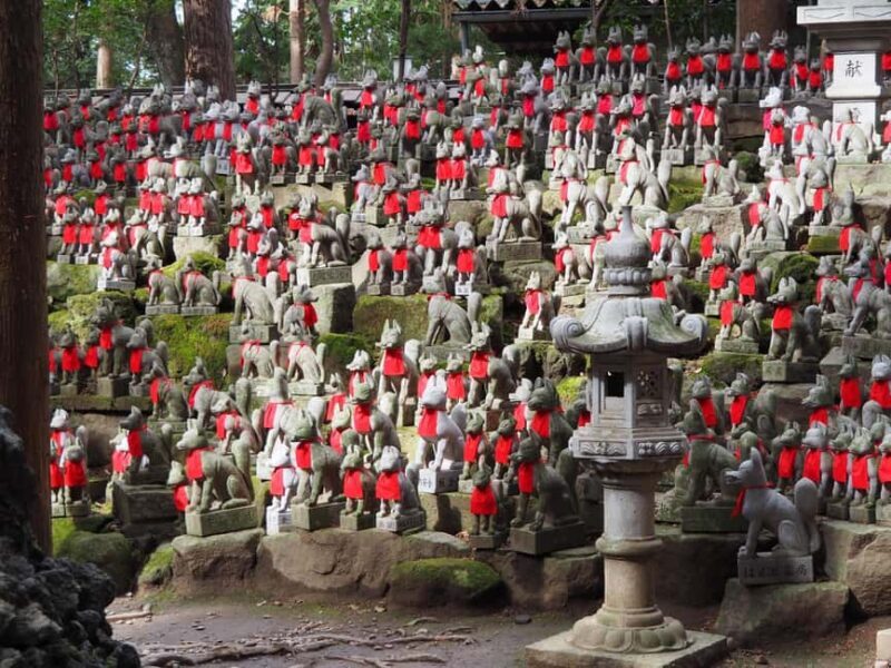 From Nagoya: Discover Aichi  Korankei, Miso, & Inari Shrine - Key Points