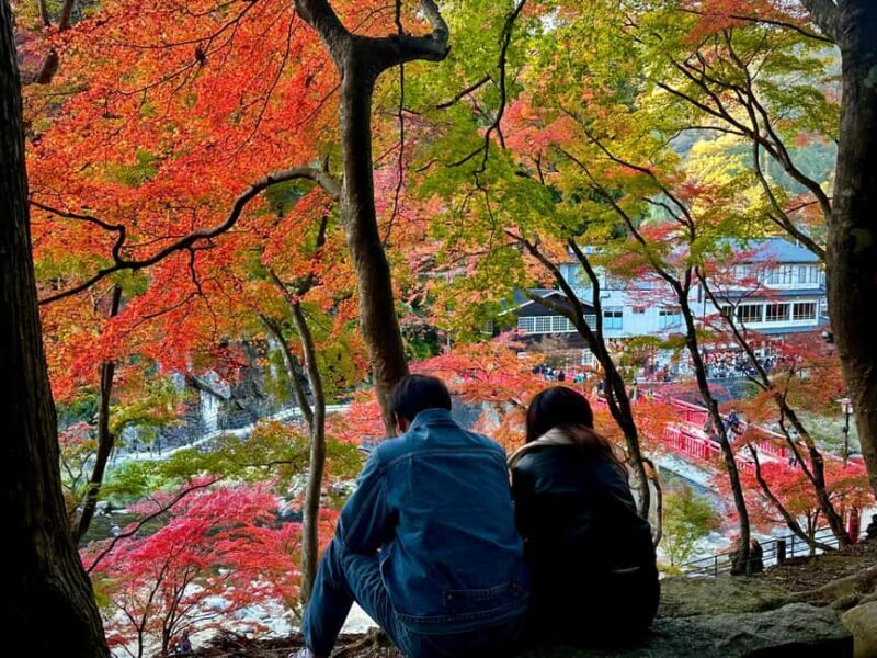 From Nagoya: Discover Aichi  Korankei, Miso, & Inari Shrine - Introduction