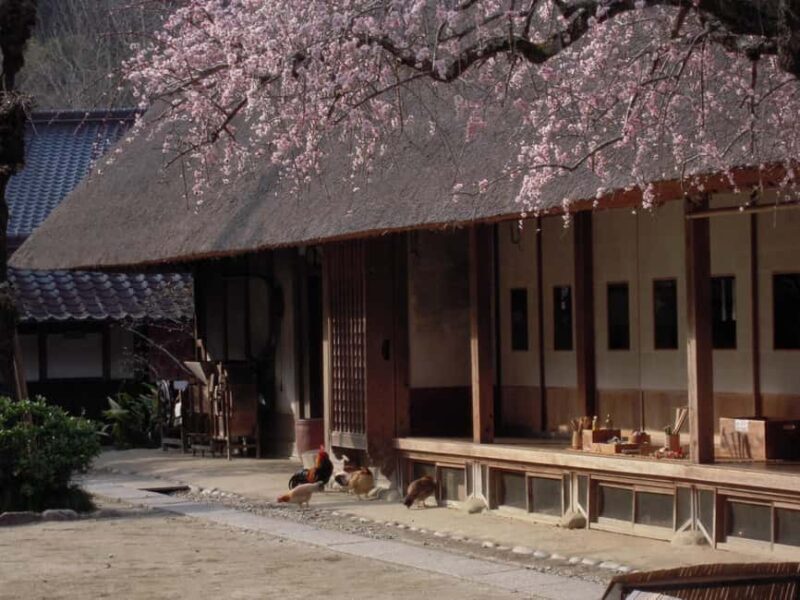 From Nagoya: Discover Aichi  Korankei, Miso, & Inari Shrine - FAQs