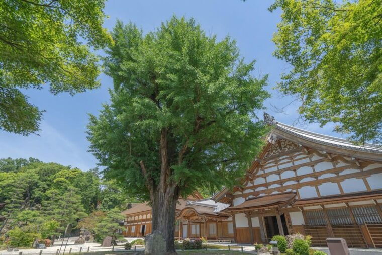 from-nagoya-enakyo-magome-juku-tsumago-juku-1d-bus-tour