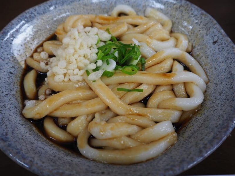 From Nagoya: Ises Sacred Shrines and Captivating Coastlines - Exploring the Itinerary