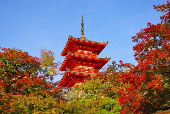 From Nagoya Kyoto Day Tour with Kobe Beef Shabu Shabu Lunch - Who Is This Tour Best For?