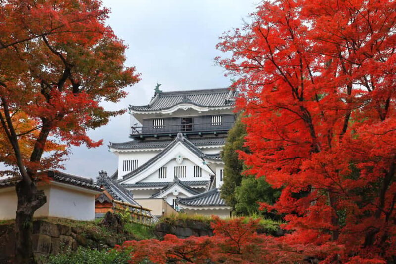 From Nagoya: Miso Factory, Fox Statue Shrine & Castle - Practical Details and Tips