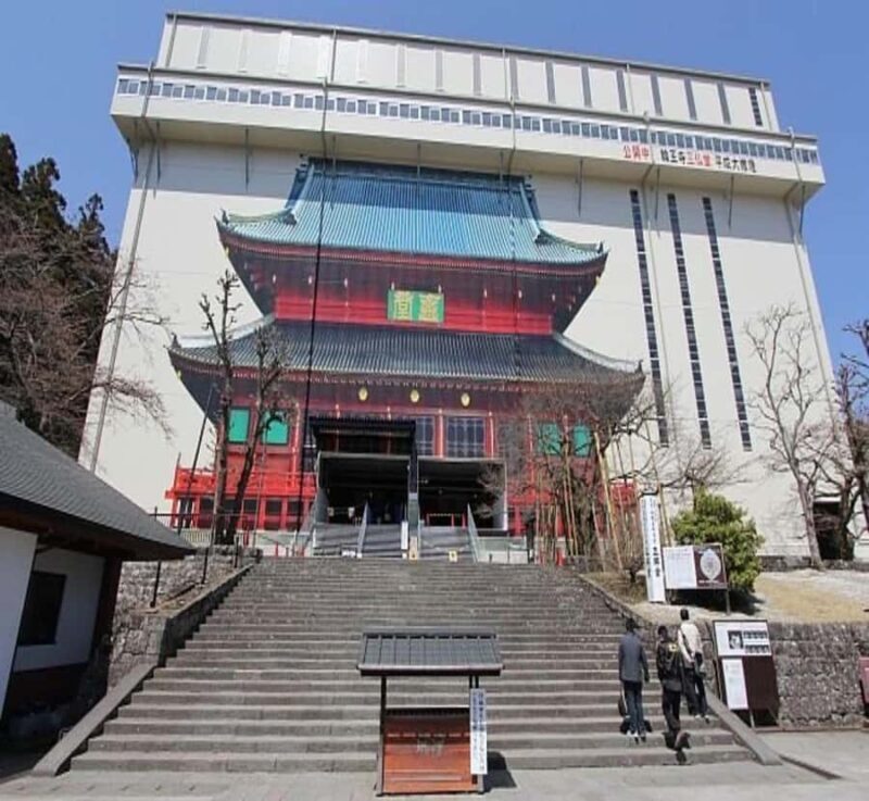 From Nagoya: Nikko Private Full-Day Tour with English Guide - Who Is This Tour Best For?