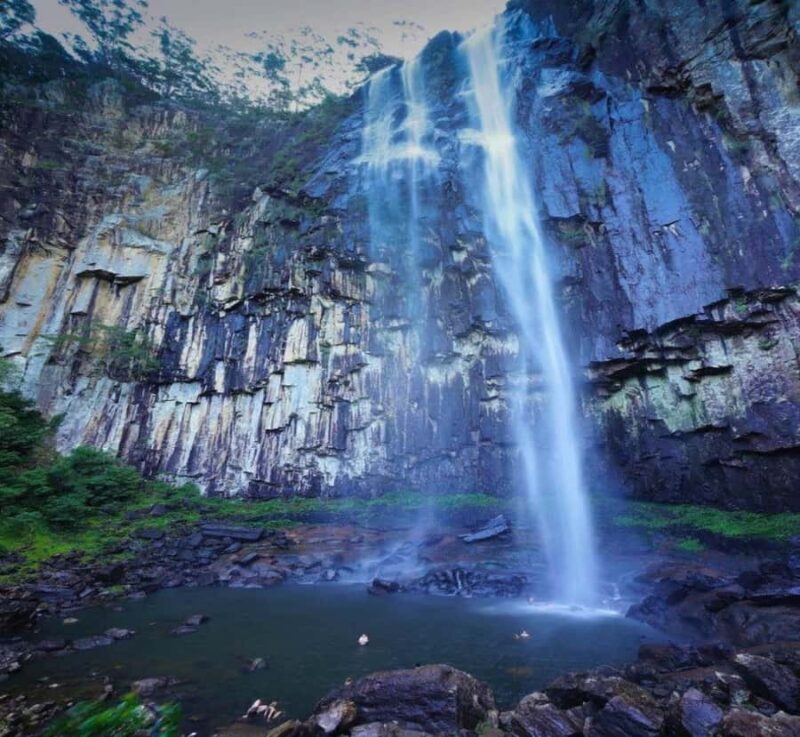 From Nagoya: Osaka Park, Katsuo-ji Temple, & Falls Tour - Why This Tour Offers Great Value