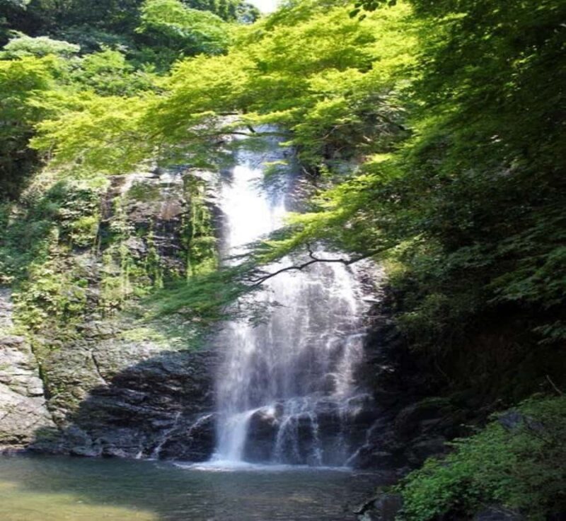 From Nagoya: Osaka Park, Katsuo-ji Temple, & Falls Tour - The Experience: What You’ll Truly Take Away