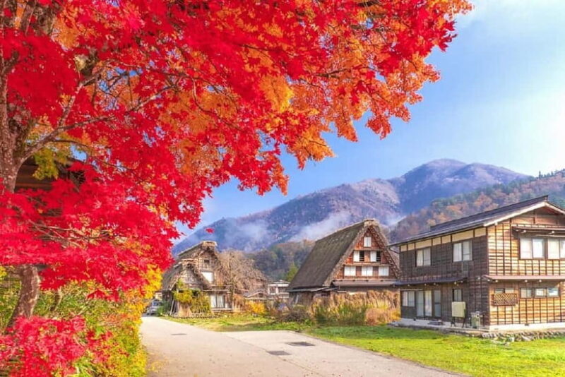 From Nagoya: Shirakawa-go & Hida-Takayama Full Day Trip - Authentic Experiences and Hidden Gems