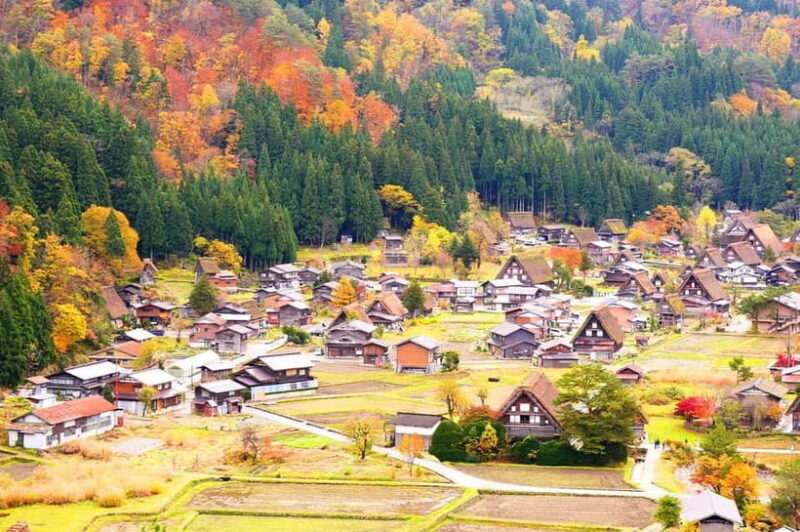From Nagoya: Shirakawa-go & Hida-Takayama Full Day Trip - The Sum Up