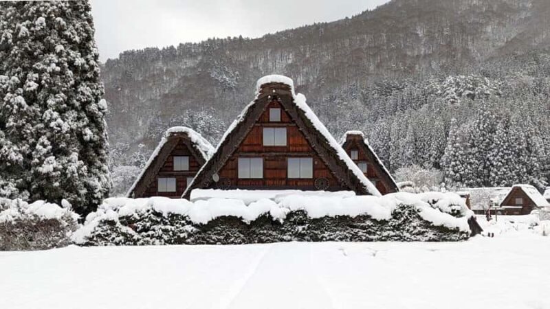 From Nagoya: Snow Day in the Japan Alps & Shirakawago - Key Points