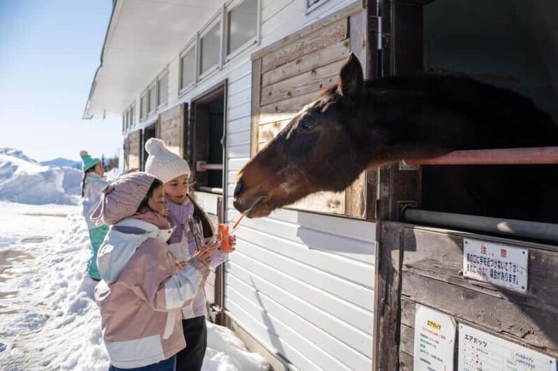 From Nagoya: Snow Day in the Japan Alps & Shirakawago - Starting Point at Nagoya Station
