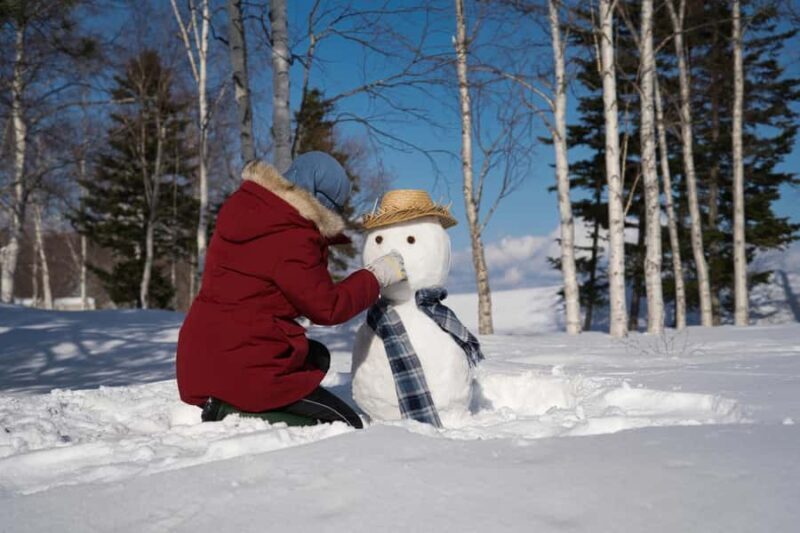 From Nagoya: Snow Day in the Japan Alps & Shirakawago - Practicalities of the Tour