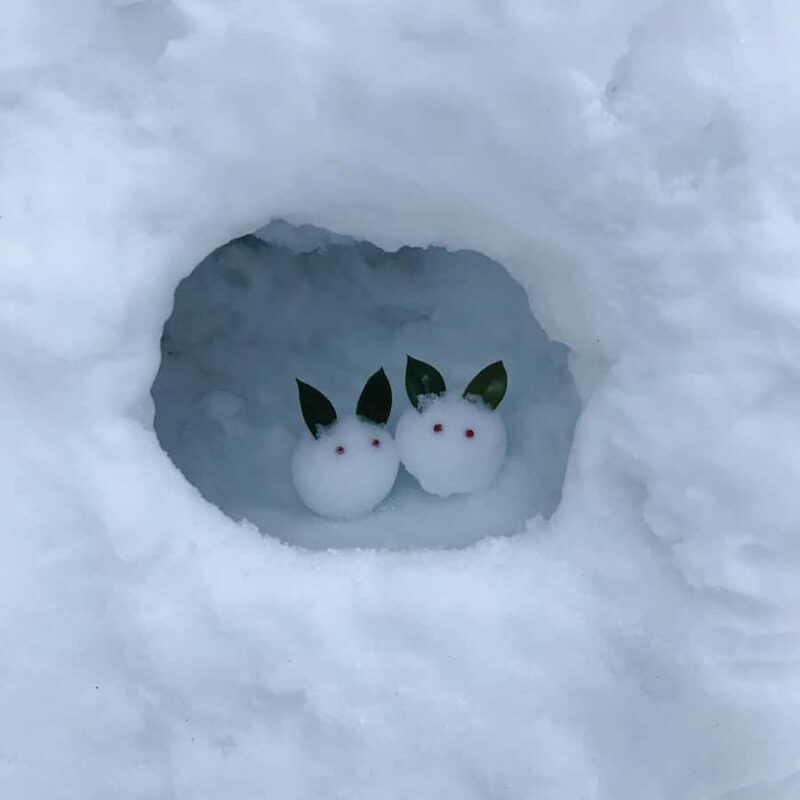 From Nagoya: Snow Day in the Japan Alps & Shirakawago - What’s Included and What to Consider