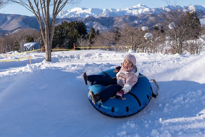 From Nagoya: Snow Day in the Japan Alps & Shirakawago - What to Expect from the Tour
