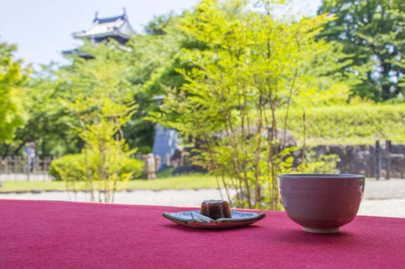 From Nagoya: Wagashi Workshop & Matcha Tea Field Tour - Why This Tour Offers Genuine Value
