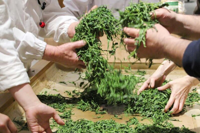 From Nagoya: Wagashi Workshop & Matcha Tea Field Tour - Who Is This Tour Perfect For?