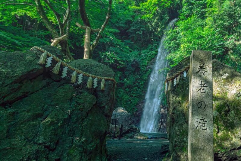 From Nagoya: Yoro Falls & Mt. Gozaisho Scenic Ropeway - Why This Tour Offers Great Value