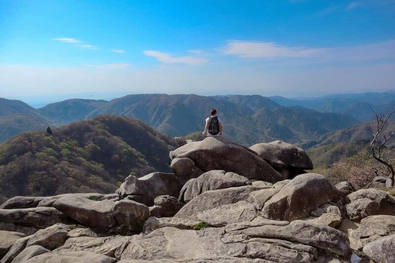 From Nagoya: Yoro Falls & Mt. Gozaisho Scenic Ropeway - Who Will Love This Tour?