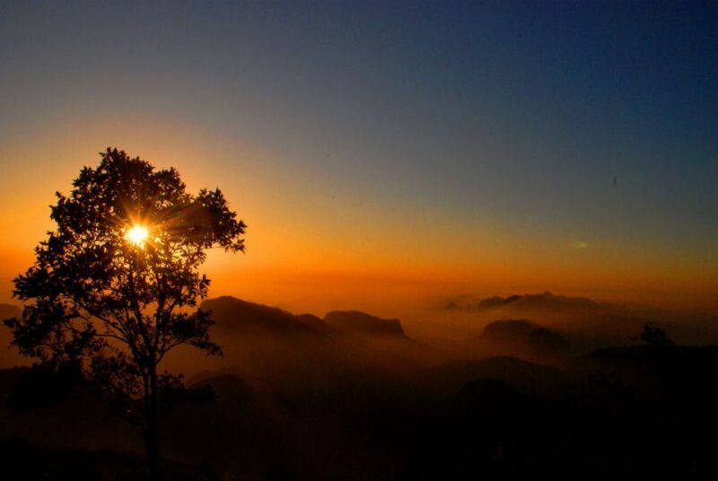 From Nagpur: Pench Wildlife Private Tour with Accommodation - What to Bring & Considerations