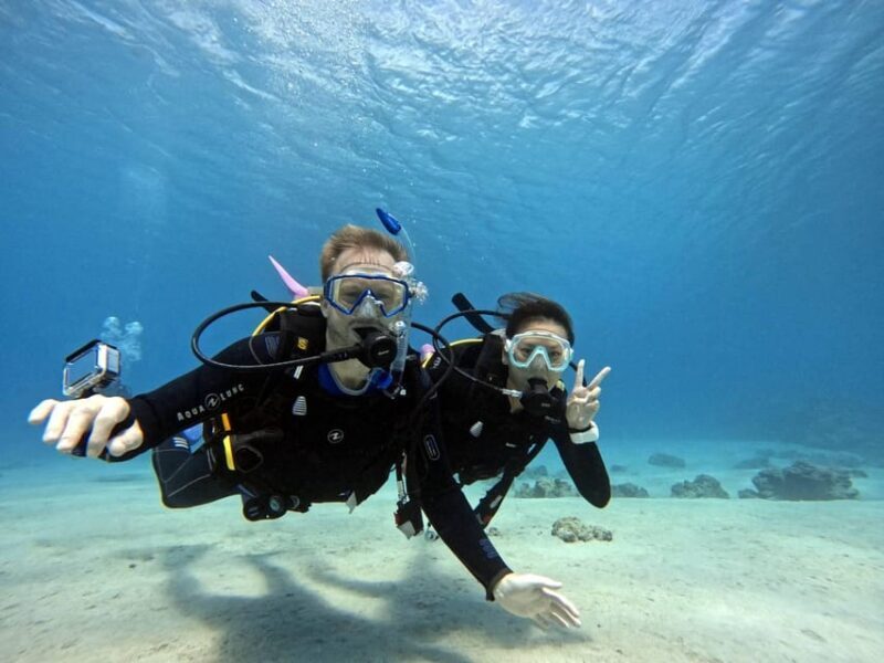 From Naha Scuba Diving Trip in Kerama(for certified divers) - Key Points