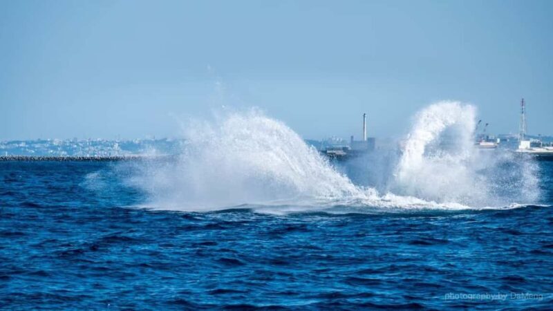 From Naha Whale Watching (Naha city Pickup) English guide - Key Points