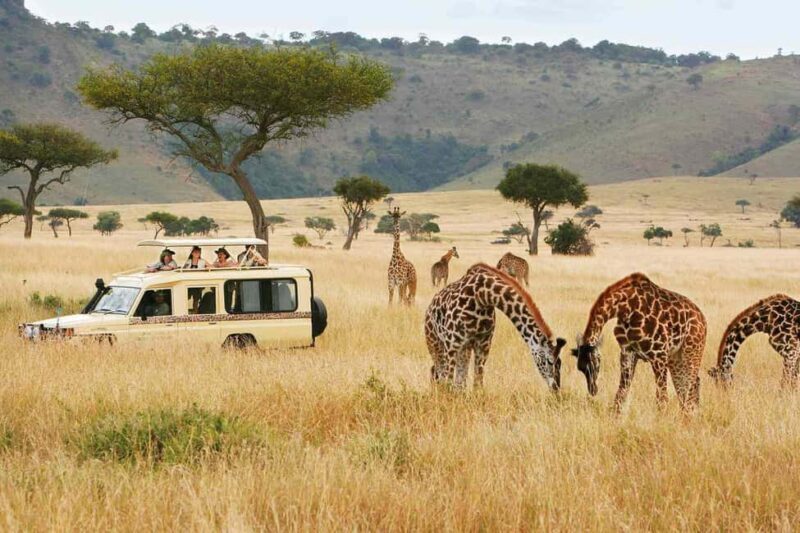 From Nairobi: 10 Days Classic Kenya and Tanzania on 4x4 Jeep - Final Thoughts
