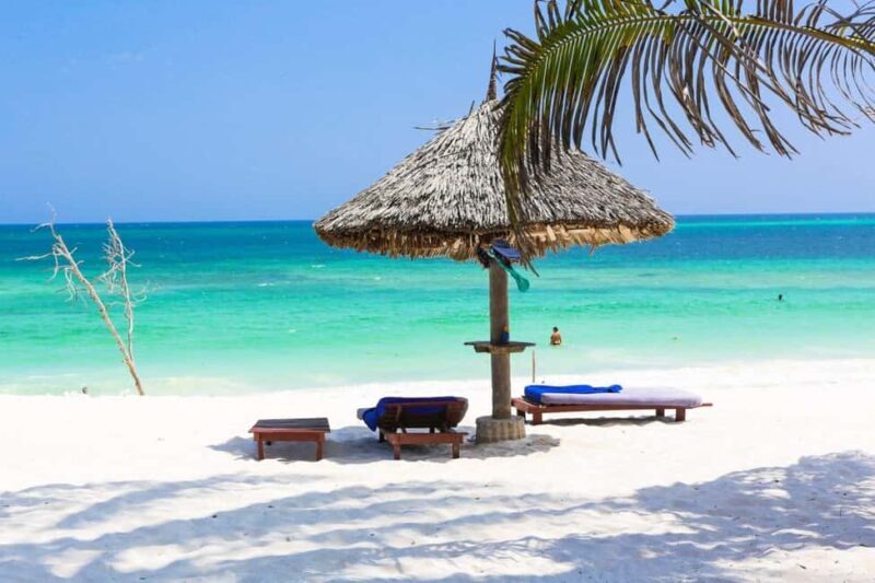 From Nairobi: 15-Day Kenya and Tanzania Safari with Zanzibar - An In-Depth Look at the 15-Day Safari Experience