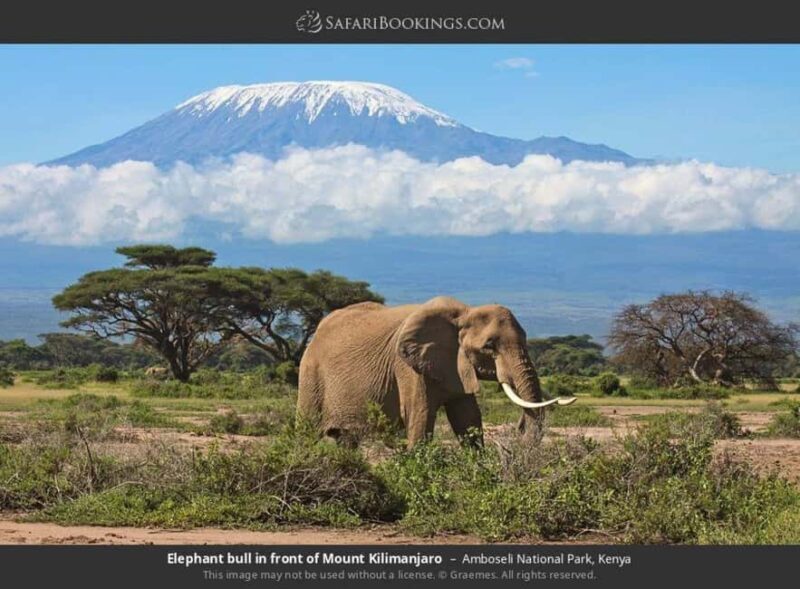 From Nairobi: 2-Day group joining Amboseli National Park - A Closer Look at the Itinerary