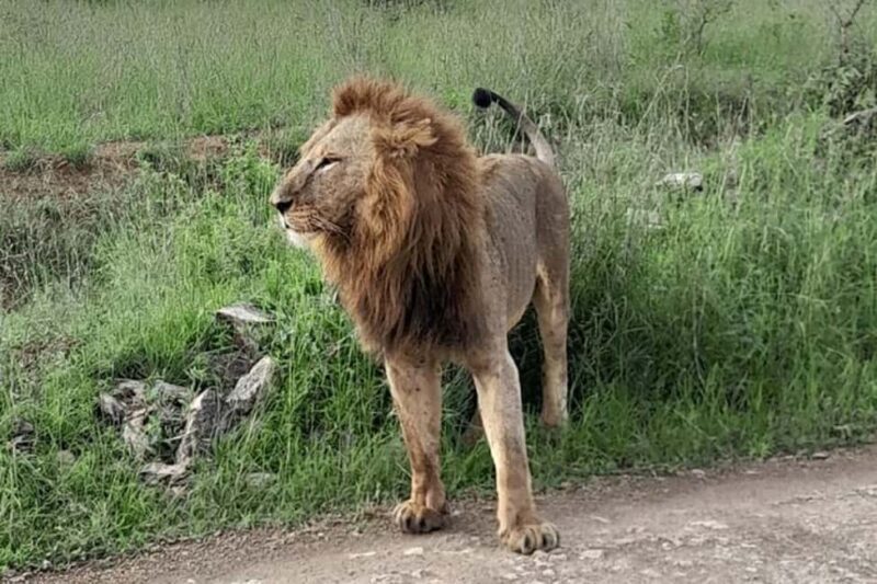From Nairobi: 2 days 1 night Safari to Ol Pejeta Conservancy - FAQ