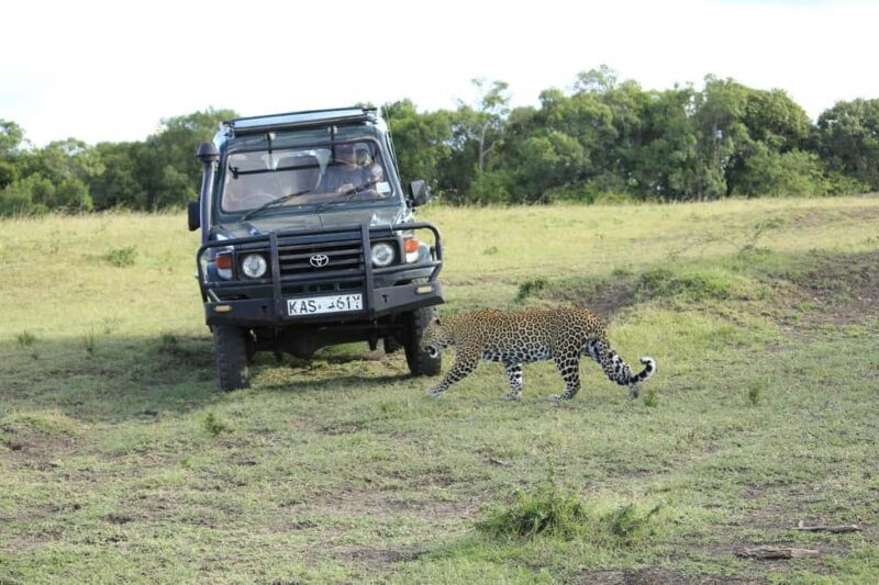 From Nairobi: 3-Day/2-Night Maasai Mara Group Safari - The Sum Up