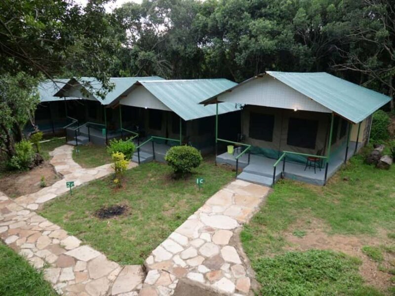 From Nairobi: 3 Days 2 Nights Masai Mara Group Safari - Authenticity & Traveler Insights