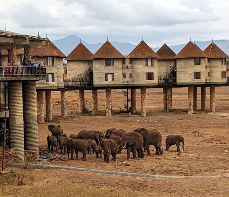 From Nairobi: 3 Days 2Nights Tsavo West Saltlick Taita Hills - What to Expect from Your Safari Experience