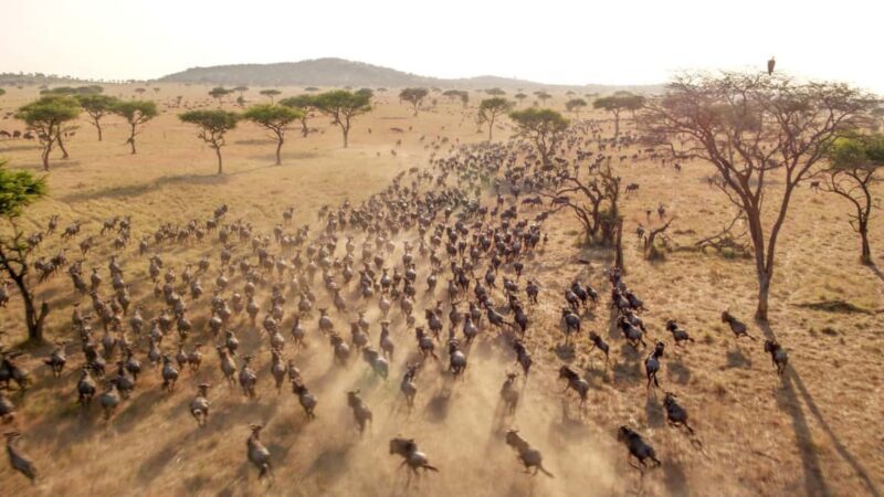 From Nairobi: 3-Days Masai Mara Camping Safari on a 4x4 Jeep - The Sum Up