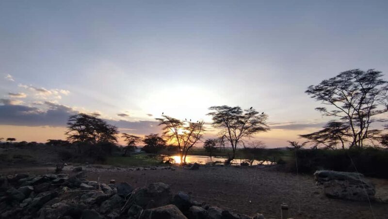 From Nairobi: 4-Day Safari to Amboseli Tsavo West & East - Who Is This Tour Best For?
