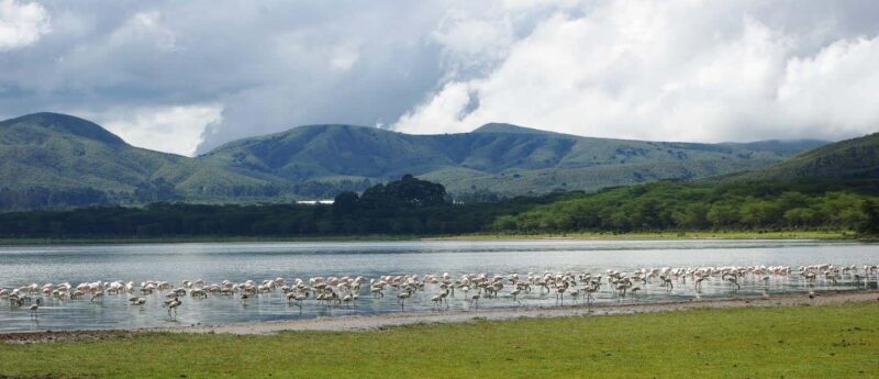 From Nairobi: 5-Day Maasai Mara, Lake Nakuru, and Naivasha - Key Points