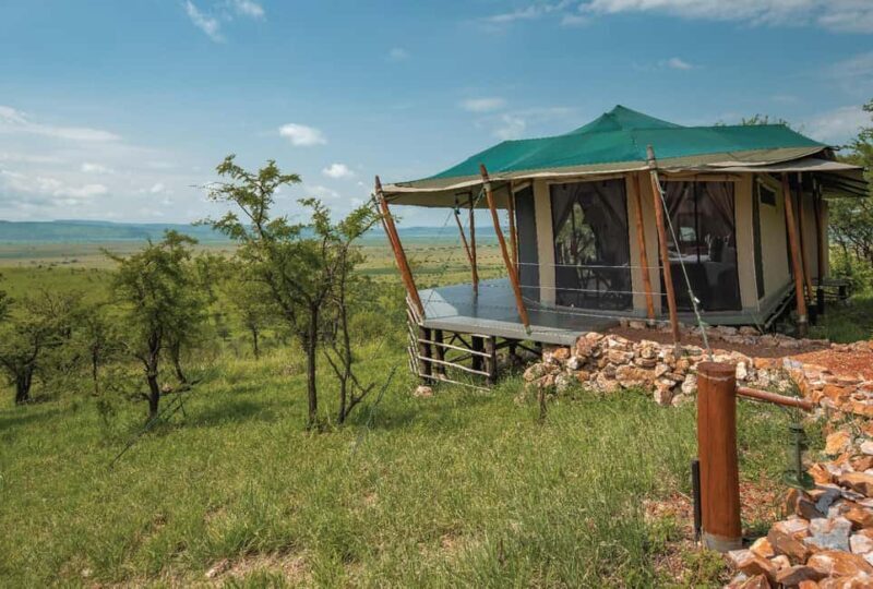 From Nairobi: 5-Day Masai Mara and Naivasha Safari - The Itinerary Breakdown: What to Expect on Each Day