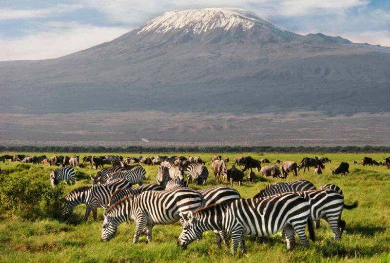 From Nairobi: 9-Day Kenya Safari with Accommodation - Key Points