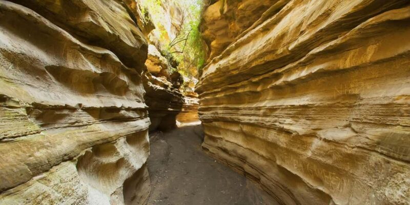 From Nairobi: Day Trip to Lake Naivasha and Hell's Gate - Key Points