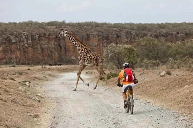 From Nairobi: Day Trip to Lake Naivasha and Hell's Gate - The Sum Up