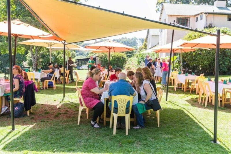 From Nairobi: Kiambethu Tea Farm Tour &Lunch - Who Should Consider This Tour?