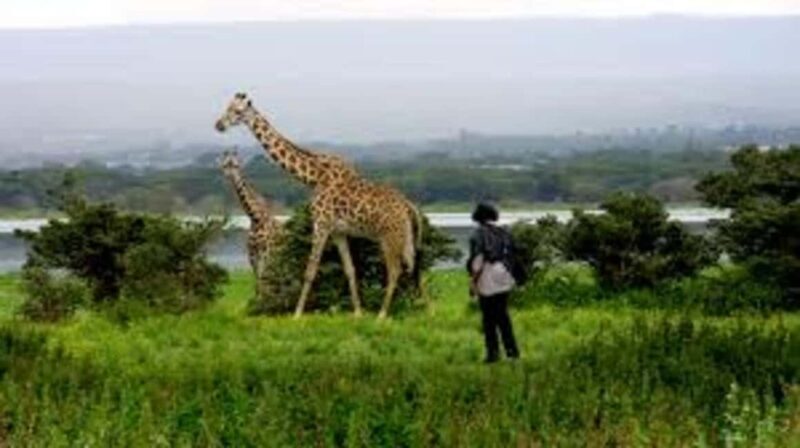 * From Nairobi: Lake Naivasha and Hell's Gate 2-Days.AW - A Detailed Look at the Tour Experience