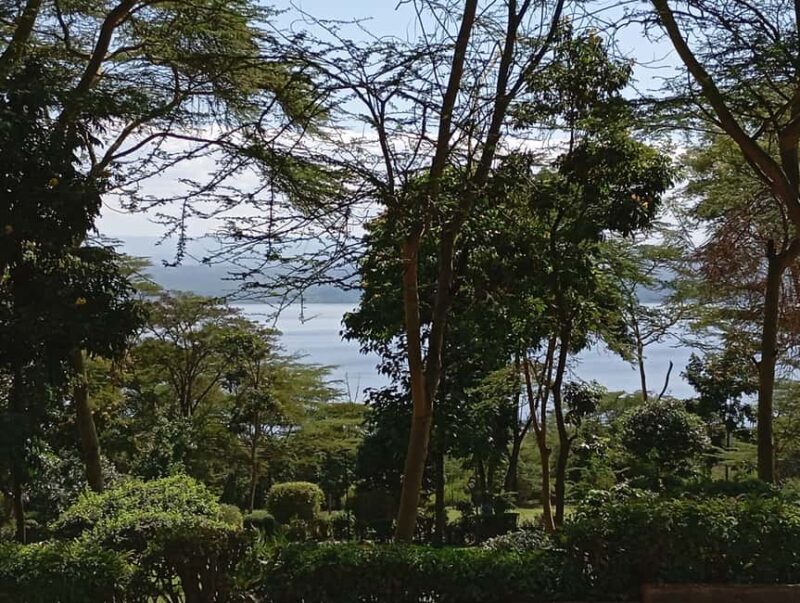 From Nairobi: Lake Nakuru & Naivasha National Park Day Tour - Exploring Kenya’s Lakes and Wildlife: A Day Tour from Nairobi