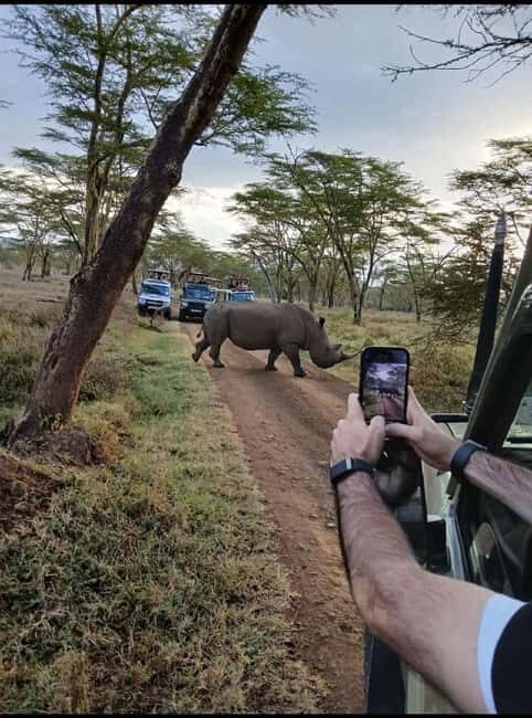 From Nairobi: Lake Nakuru National Park Day Trip - Final Thoughts: Who is This Tour Best For?