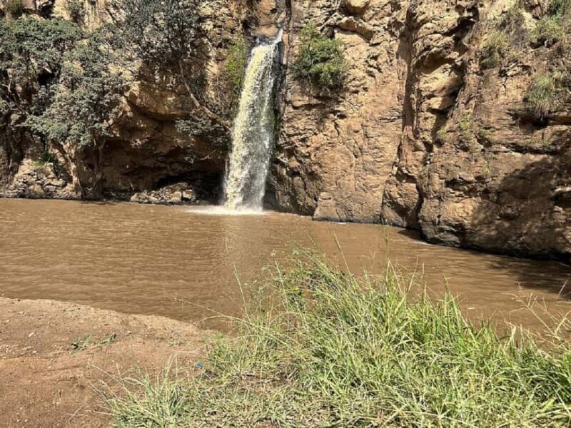 From Nairobi: Lake Nakuru National Park Day Trip - FAQ
